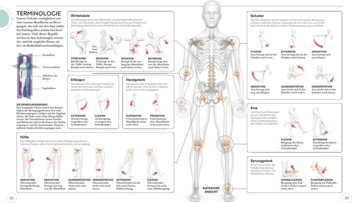 Produktbild HIIT - Die Anatomie verstehen (Deutsch, Ingrid S. Clay, 2022)
