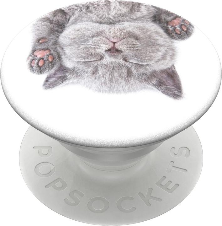 Immagine prodotto PopSockets pisolino per gatti