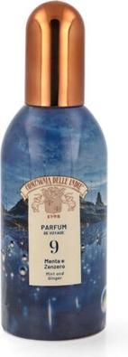Compagnia Delle Indie 9 Mint and Ginger Travel Perfume 100ml (Eau de Parfum, 100 ml)