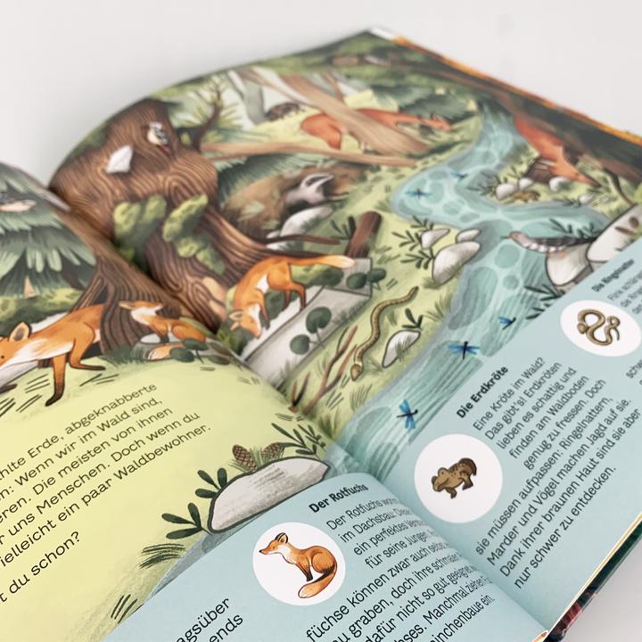 Produktbild Kleine Geheimnisse der Natur - Wald und Wiese (Deutsch, Kaja Kajfež, Stütze & Vorbach, 2022)