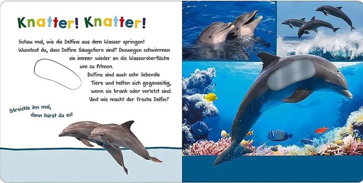 Immagine prodotto Hör mal rein, wer kann das sein? – Im Ozean (Tedesco)