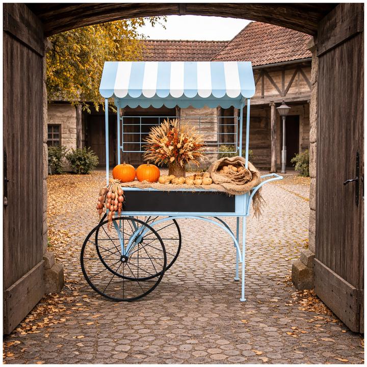 Produktbild HTI-Living Blumenwagen Vintage Metall blau Dekowagen Buffetwagen auf Rädern