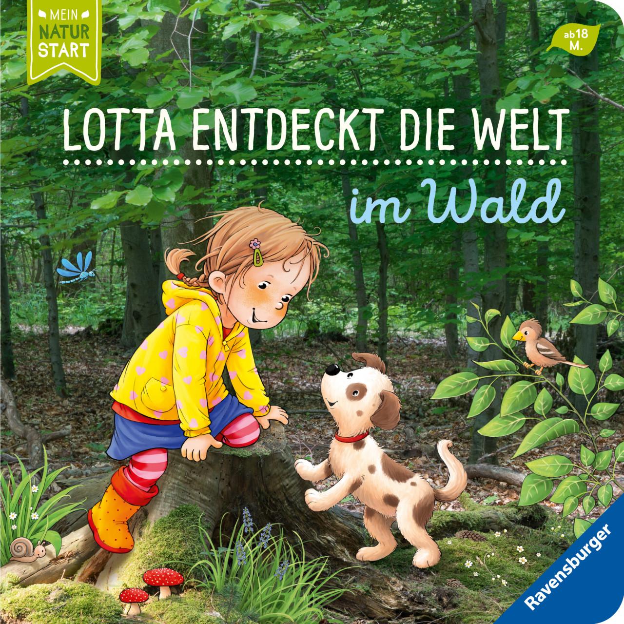 Lotta entdeckt die Welt: Im Wald, Kinderbücher von Sandra Grimm, Katja Senner