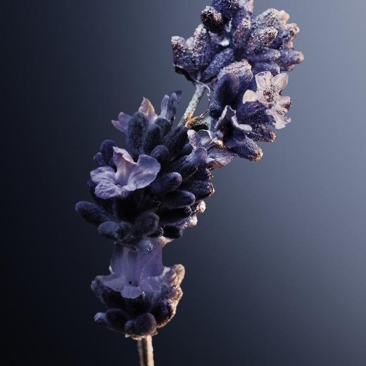 Immagine prodotto Paco Rabanne Phantom Intense Eau De Parfum Spray Ricaricabile 150ml (Eau de parfum, 150 ml)