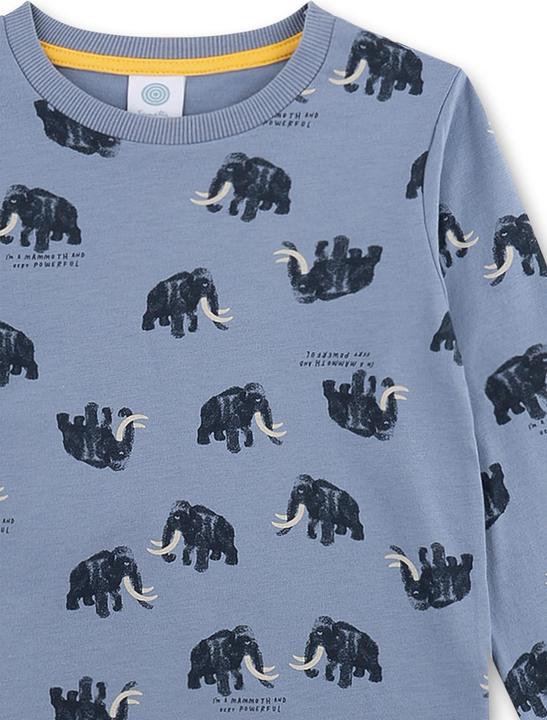 Produktbild Sanetta Kid's Pyjama 1/1 233662+233663 (104)