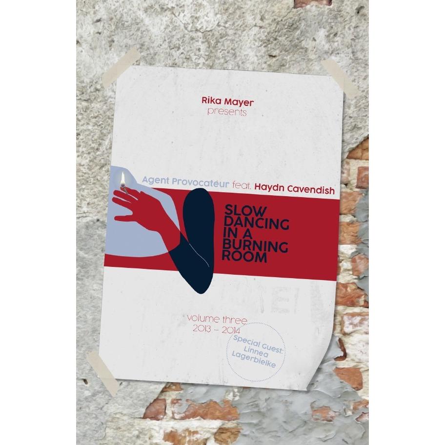 Slow Dancing In A Burning Room, Belletristik von Rika Mayer