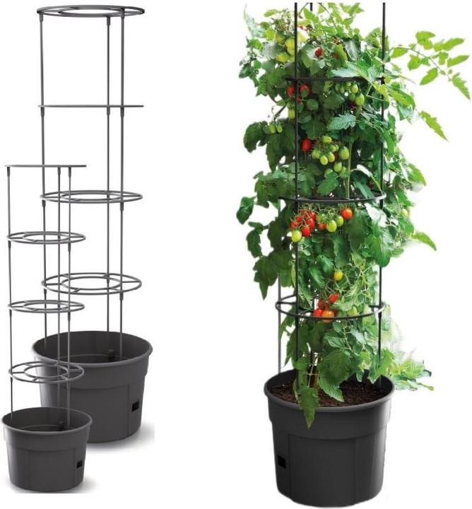 Actual product image Prosperplast Tomato grower IPOM300 tomato pot (29.50 x 61 cm)