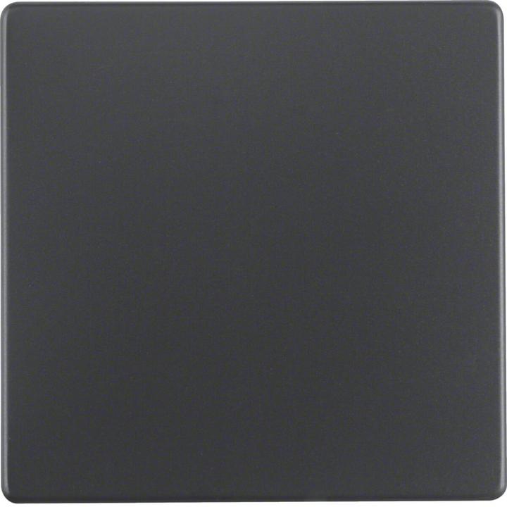 Produktbild Berker Wippe