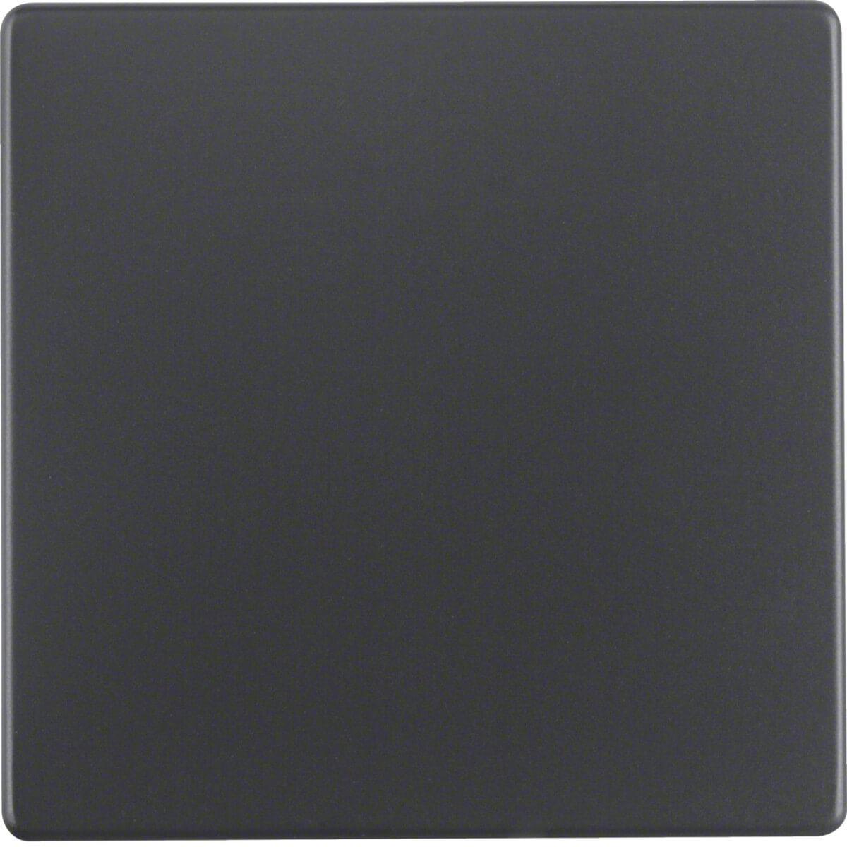 Berker, Programma di commutazione degli accessori, ROCKER NERO OPACO / 16206085 Q.X 16206085