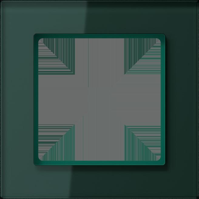 Actual product image JUNG AC581GLSG Glass frame 1f