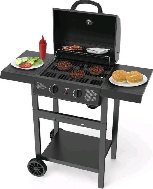 Actual product image Mr. Grill Gasgrill EasyFire 2 Brenner (5 kW)
