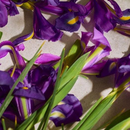 Image du produit The Body Shop Full Iris Eau de Parfum (Eau de parfum, 75 ml)