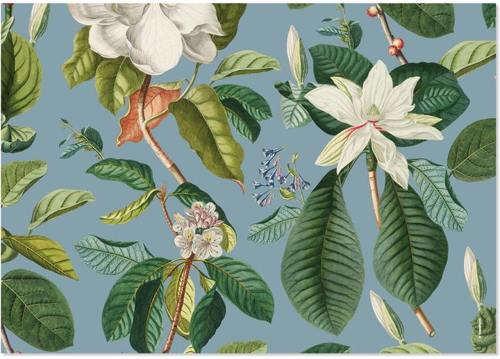 Produktbild Trendform Papiertischset MAGNOLIA (42 x 29.70 cm)