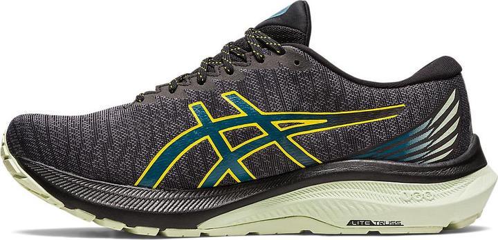 Image du produit ASICS Performance GT-2000 11 (42)