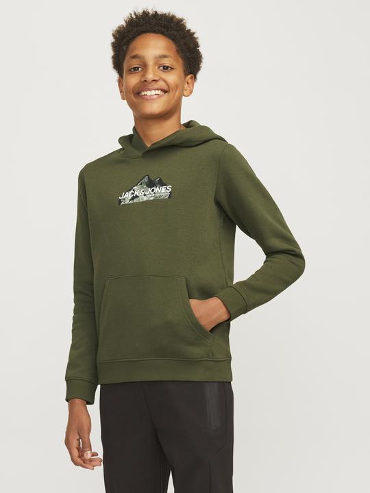 Actual product image Jack & Jones Jcomountain Logo Sweat Hood Sn Mni (98)