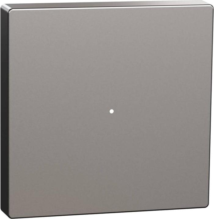 Actual product image Merten Rocker for push-button module 1gang (1/0), MEG5211-0460