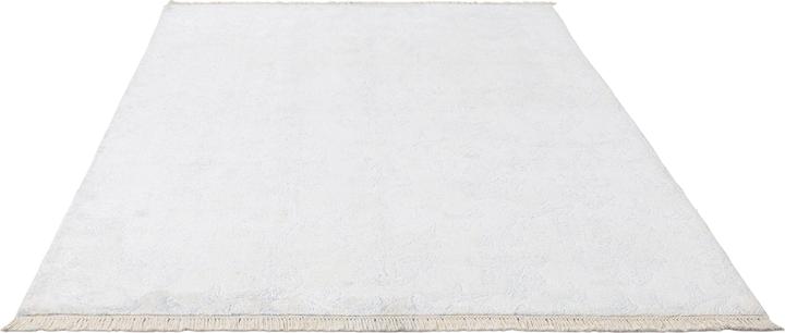 Image du produit Vidal Darya-Indian (170 x 234 cm)