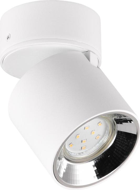 Image du produit Trio Luminaires 651000131 Spot encastré/en saillie GUAYANA (GU10)