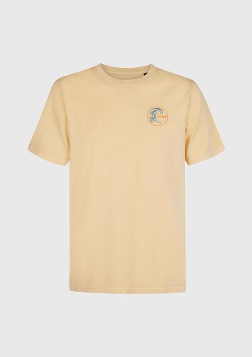 Actual product image O'Neill O'Riginals Retro Back Print T-Shirt (L)