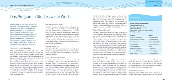 Produktbild Welpen-Erziehung (Deutsch, Katharina Schlegl-Kofler, 2010)