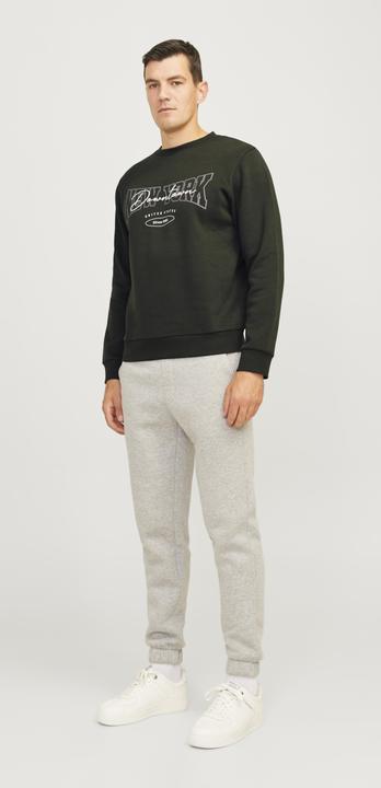 Immagine prodotto Jack & Jones Jrebnewyork Sweat Crew Neck Sn (L)