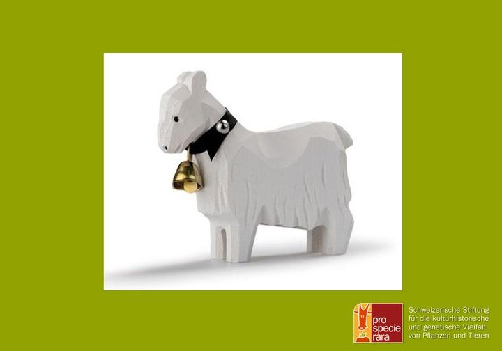 Actual product image Trauffer Appenzeller goat