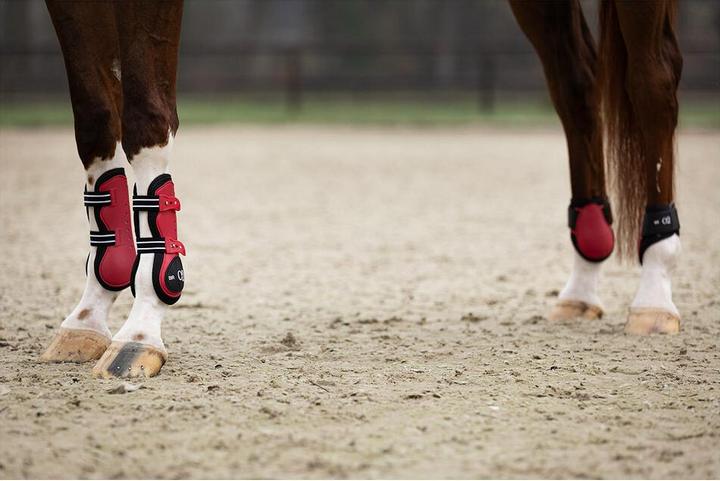 Produktbild BR Equestrian Equipment XO2