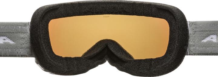 Image du produit ALPINA SPORTS Pheos S Q-Lite