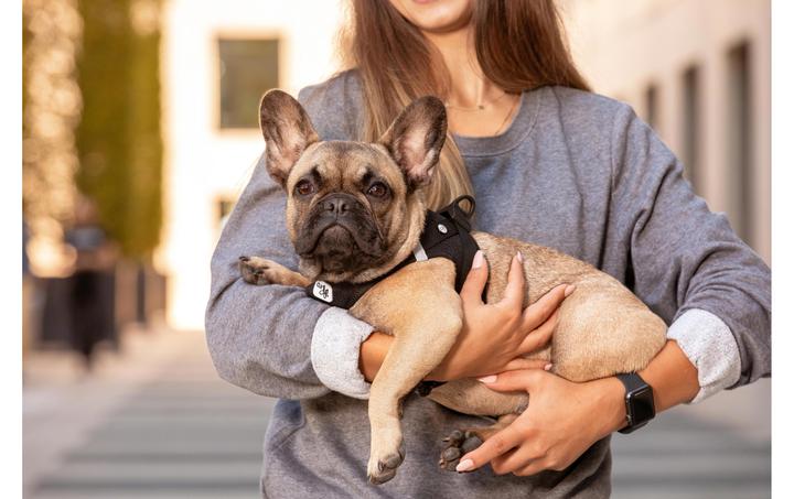 Actual product image Curli Harness Vest Air-Mesh S, Black (S, Dog, General)