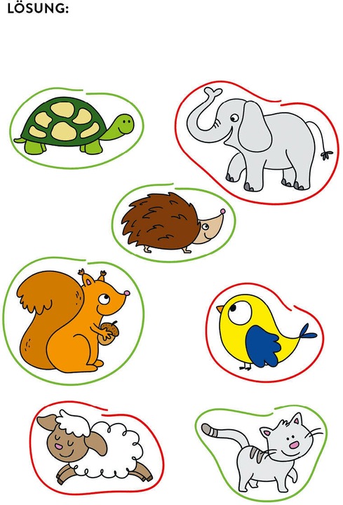Actual product image Mein bunter Lernspielblock – Kindergarten: Erkennen, Verbinden, Fehler finden (German, Sandy Thissen, 2022)