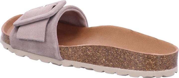 Actual product image Verbenas Reiko (41)