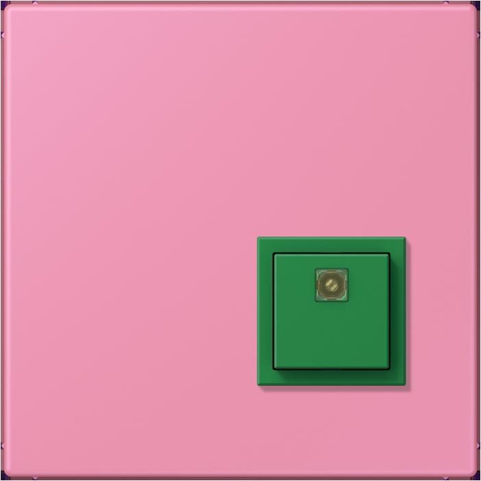 Actual product image JUNG Switch-off button