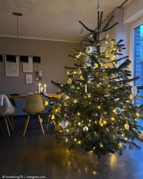Image du produit Krinner Support pour sapin de Noël Stockholm pour une hauteur de sapin de 3 m