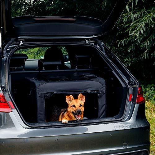 Actual product image Dibea Double Dog Transport Box (Cat, Dog, Foldable, Breathable)