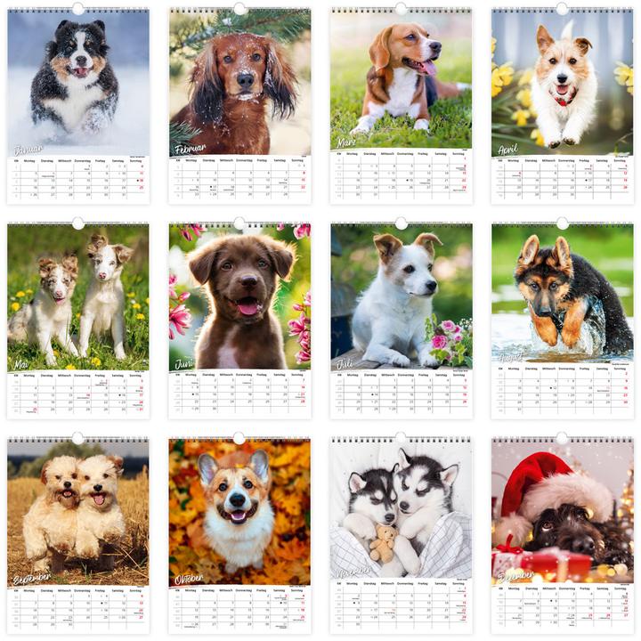 Produktbild Trtsch Classickalender Hunde 2026 (Spezial)