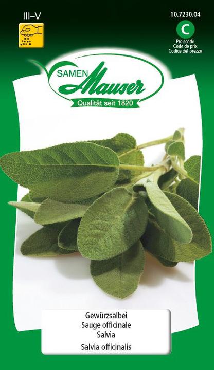 Immagine prodotto Samen Mauser Sage (Semi di erbe)