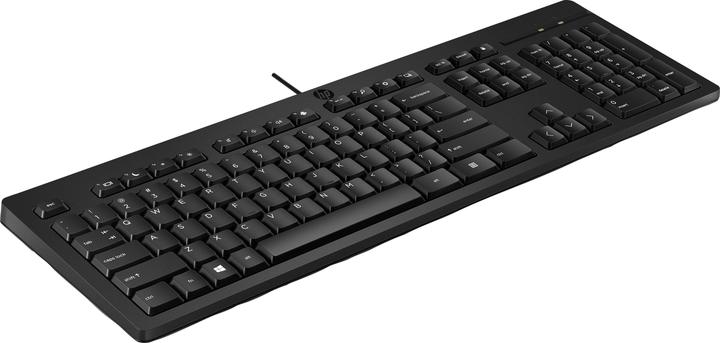 Actual product image HP 125 Wired Keyboard, Full-size (100%), Wired, USB, Black (Eng. Int., Cable)