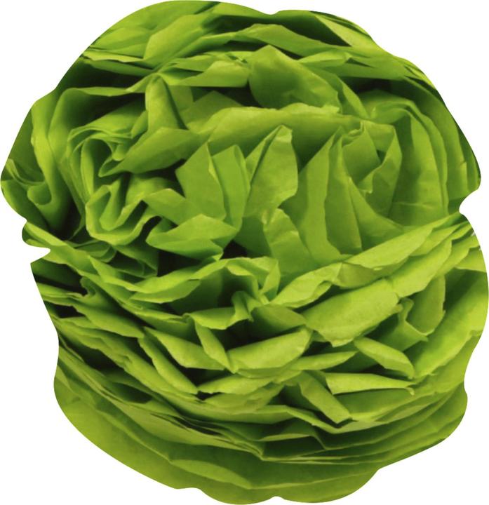 Actual product image Clairefontaine Tissue paper? (18 g/m², 8x)