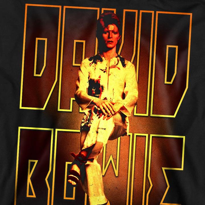 Immagine prodotto David Bowie Perched Felpa Adulto Unisex (L)