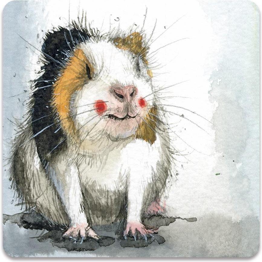 Teka, Magneti, Magnet FM248 Meerschweinchen