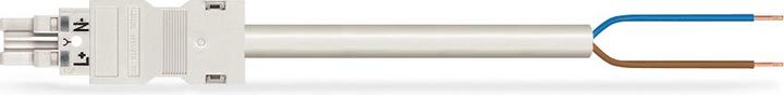Actual product image Wago confect. Connection cable (2 m)