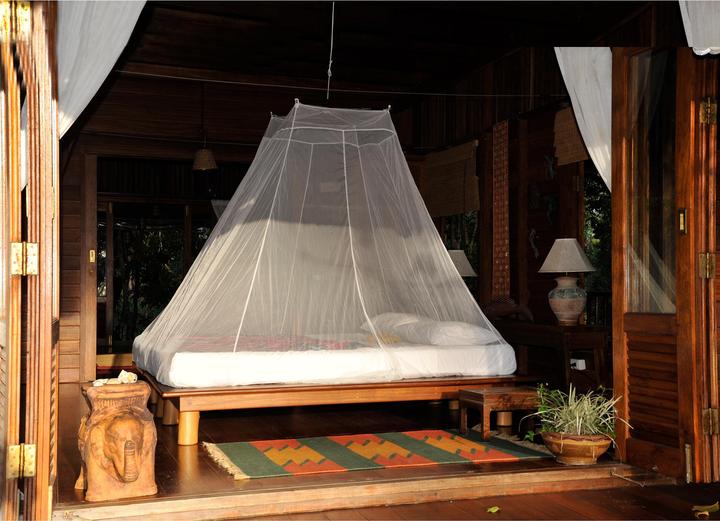 Actual product image Cocoon Mosquito Travel Net Double