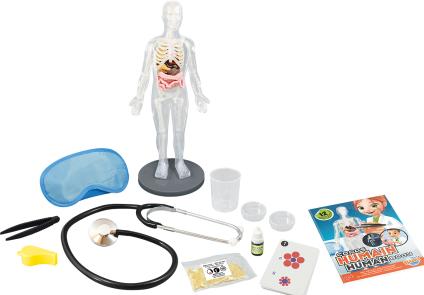 Actual product image Buki The human body