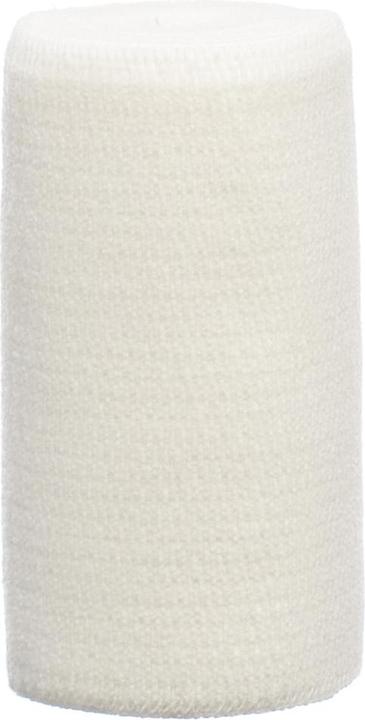 Actual product image Flawa Nova Basic 8cmx5m