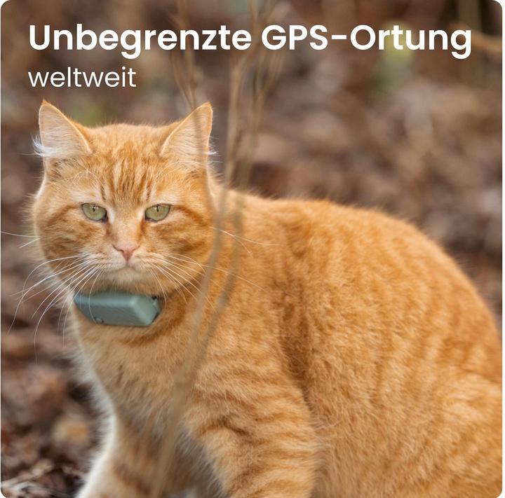 Immagine prodotto Tractive GPS Mini (Taglia unica, Gatto, Generale)