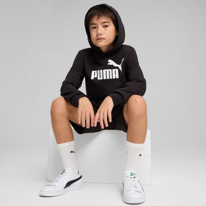 Produktbild Puma ESS No. 1 Logo Hoodie TR B (164)