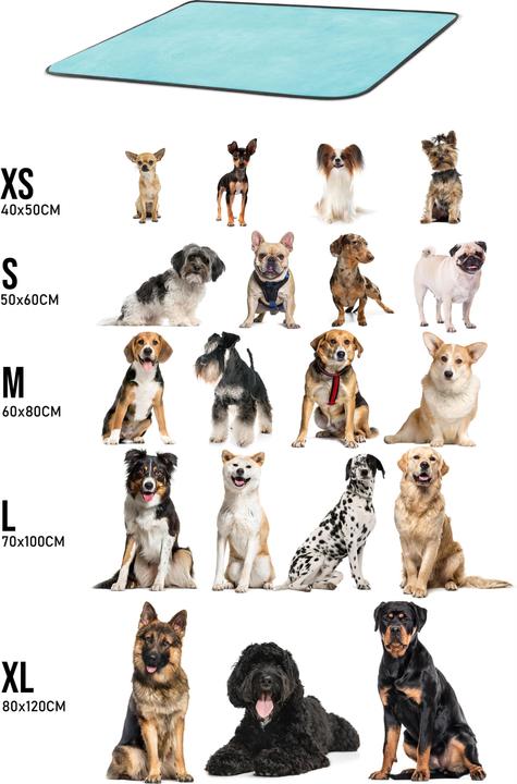 Actual product image Aspero Dog blanket Lund - 8613 (Dog)