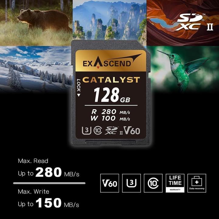 Actual product image Exascend SDXC-Card 256GB UHS-II V60 R280/W100 Catalyst series (new) (256 GB, SDXC, U3, UHS-II)