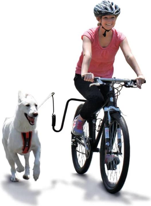 Produktbild Scout (Hund, Fahrrad)