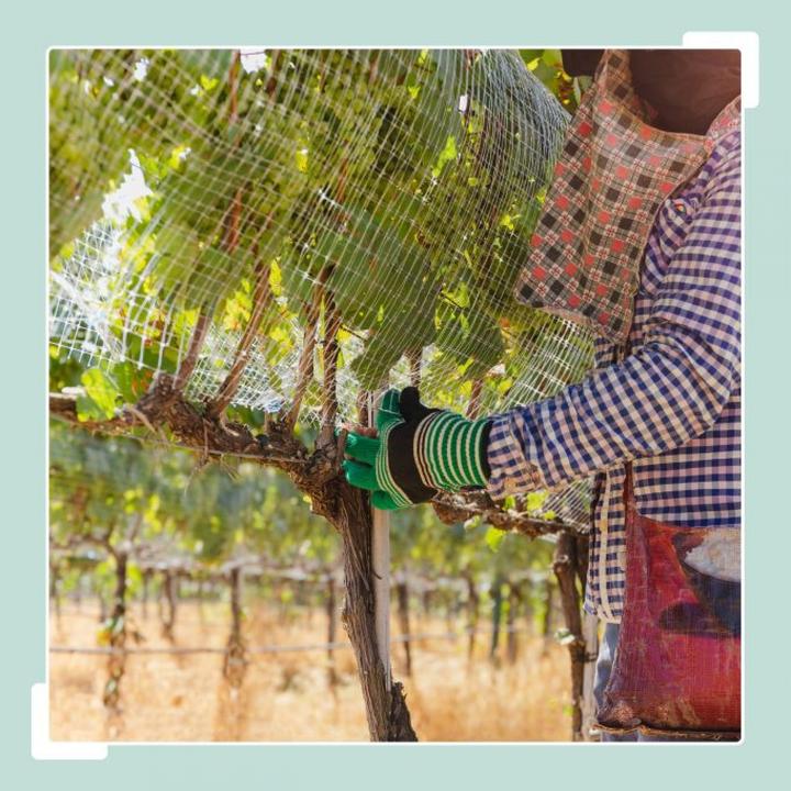 Actual product image Relaxdays Aviary mesh (0.12 m)